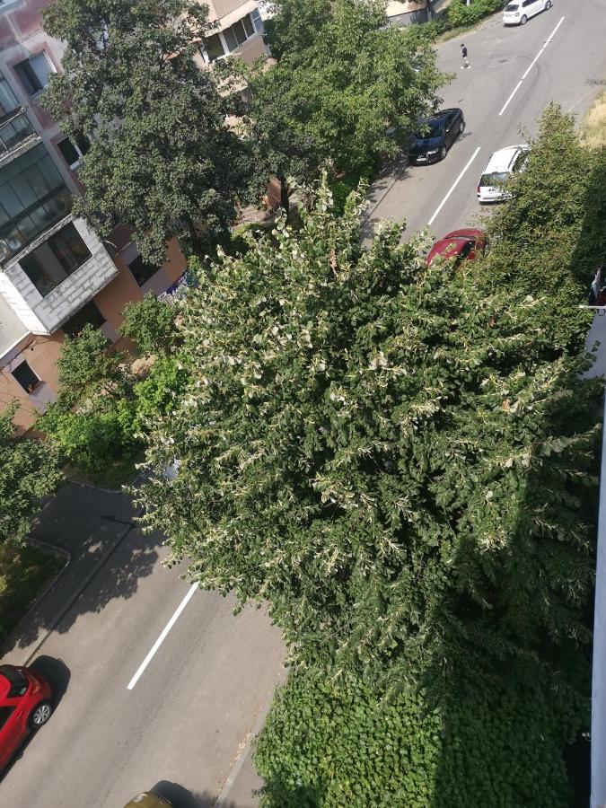 Bloom Box Apartments Craiova Luaran gambar