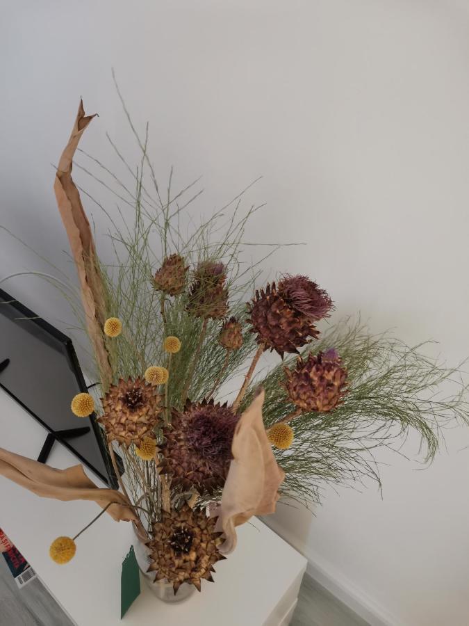 Bloom Box Apartments Craiova Luaran gambar
